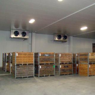 Potato And Onion Cold Storage