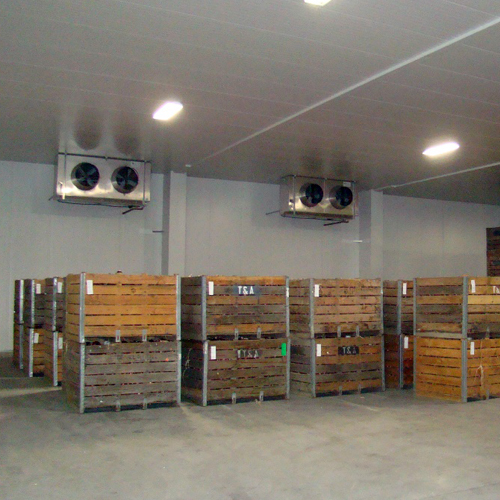 Potato And Onion Cold Storage